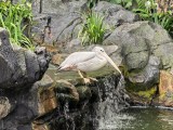 Daylight samples, telephoto camera (4x) - 96mm, f/2.6, ISO 80, 1/100s (4096x3072px) - Huawei Pura 90s Pro Max hands-on review