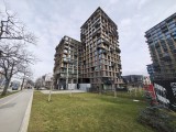 Daylight samples, ultrawide camera (0.6x) - 12mm, f/2.0, ISO 200, 1/319s (4096x3072px) - Motorola Signature review