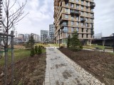 Daylight samples, ultrawide camera (0.6x) - 12mm, f/2.0, ISO 236, 1/285s (4096x3072px) - Motorola Signature review