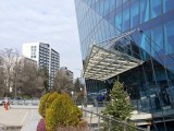 Daylight samples, main camera (2x) - 48mm, f/1.6, ISO 143, 1/1858s (4096x3072px) - Motorola Signature review