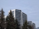 Daylight samples, telephoto camera (3x) - 71mm, f/2.4, ISO 144, 1/457s (4096x3072px) - Motorola Signature review