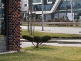 Daylight samples, telephoto camera (6x) - 142mm, f/2.4, ISO 143, 1/242s (4096x3072px) - Motorola Signature review