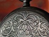 Close-up samples, telephoto camera, 6x - 142mm, f/2.4, ISO 208, 1/100s (4096x3072px) - Motorola Signature review