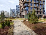 Daylight samples, main camera (1x), 50MP - 24mm, f/1.9, ISO 100, 1/1156s (8192x6144px) - RedMagic 11 Air review
