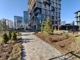 Daylight samples, ultrawide camera (0.6x) - 16mm, f/2.2, ISO 50, 1/747s (3264x2448px) - Oneplus 15R review