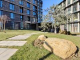 Daylight samples, ultrawide camera (0.6x) - 16mm, f/2.2, ISO 50, 1/838s (3264x2448px) - Oneplus 15R review