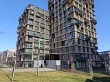 Daylight samples, main camera (1x), 50MP - 24mm, f/1.8, ISO 80, 1/2258s (8192x6144px) - Oneplus 15R review