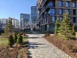 Daylight samples, main camera (1x), 50MP - 24mm, f/1.8, ISO 80, 1/1466s (8192x6144px) - Oneplus 15R review