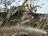 Main camera - 25mm, f/1.8, ISO 80, 1/1104s (4096x3072px) - OnePlus Nord 6 review
