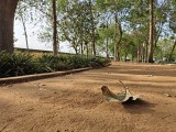 White balance issues - 25mm, f/1.8, ISO 80, 1/1427s (4096x3072px) - OnePlus Nord 6 review