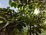 Ultra-wide camera - 16mm, f/2.2, ISO 50, 1/1105s (3264x2448px) - OnePlus Nord 6 review