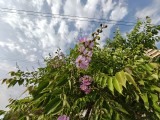 Ultra-wide camera - 16mm, f/2.2, ISO 64, 1/2242s (3264x2448px) - OnePlus Nord 6 review