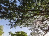 Ultra-wide camera - 16mm, f/2.2, ISO 50, 1/918s (3264x2448px) - OnePlus Nord 6 review