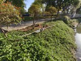 Ultra-wide camera - 16mm, f/2.2, ISO 50, 1/965s (3264x2448px) - OnePlus Nord 6 review