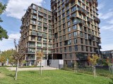 Daylight samples, main camera (1x), 50MP - 23mm, f/1.6, ISO 50, 1/242s (8160x6144px) - Oppo Find X10 review