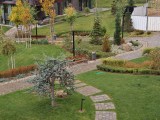 Daylight samples, telephoto camera (2.8x), 26MP - 65mm, f/2.6, ISO 200, 1/100s (5888x4416px) - Oppo Find X10 review