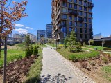 Daylight samples, ultrawide camera (0.6x), 26MP - 14mm, f/2.0, ISO 50, 1/500s (5888x4416px) - Oppo Find X9 Ultra review