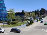 Daylight samples, main camera (2x), 12.5MP - 47mm, f/1.5, ISO 50, 1/1532s (4080x3064px) - Oppo Find X9 Ultra review