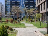 Daylight samples, telephoto camera (3x), 26MP - 70mm, f/2.2, ISO 50, 1/414s (5888x4416px) - Oppo Find X9 Ultra review