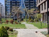 Daylight samples, telephoto camera (3x), 50MP - 70mm, f/2.2, ISO 50, 1/407s (8192x6144px) - Oppo Find X9 Ultra review