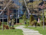 Daylight samples, telephoto camera (6x), 12.5MP - 139mm, f/2.2, ISO 50, 1/427s (4096x3072px) - Oppo Find X9 Ultra review