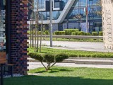 Daylight samples, telephoto camera (6x), 12.5MP - 139mm, f/2.2, ISO 50, 1/226s (4096x3072px) - Oppo Find X9 Ultra review