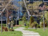Daylight samples, telephoto camera (6x), 50MP - 140mm, f/2.2, ISO 50, 1/363s (8192x6144px) - Oppo Find X9 Ultra review