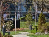 Daylight samples, telephoto camera (10x), 12.5MP - 230mm, f/3.5, ISO 64, 1/200s (4096x3072px) - Oppo Find X9 Ultra review