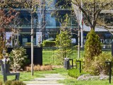 Daylight samples, telephoto camera (10x), 50MP - 230mm, f/3.5, ISO 200, 1/167s (8192x6144px) - Oppo Find X9 Ultra review