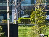 Daylight samples, telephoto camera (20x), 12.5MP - 460mm, f/3.5, ISO 50, 1/119s (4096x3072px) - Oppo Find X9 Ultra review