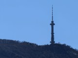 Daylight samples, telephoto camera (20x), 12.5MP - 460mm, f/3.5, ISO 50, 1/243s (4096x3072px) - Oppo Find X9 Ultra review