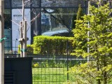 Daylight samples, telephoto camera (30x), 12.5MP - 690mm, f/3.5, ISO 50, 1/126s (4096x3072px) - Oppo Find X9 Ultra review