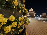 Low-light samples, ultrawide camera (0.6x) - 14mm, f/2.0, ISO 2000, 1/8s (4096x3072px) - Oppo Find X9 Ultra review