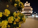Low-light samples, main camera (1x) - 23mm, f/1.5, ISO 1250, 1/13s (4080x3064px) - Oppo Find X9 Ultra review