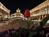 Low-light samples, main camera (1x) - 23mm, f/1.5, ISO 1600, 1/13s (4080x3064px) - Oppo Find X9 Ultra review