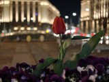 Low-light samples, telephoto camera (3x) - 70mm, f/2.2, ISO 2500, 1/10s (4096x3072px) - Oppo Find X9 Ultra review
