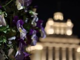 Low-light samples, telephoto camera (3x) - 70mm, f/2.2, ISO 1600, 1/10s (4096x3072px) - Oppo Find X9 Ultra review