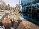 Daylight samples, ultrawide camera (0.6x) - 16mm, f/2.0, ISO 50, 1/542s (4096x3072px) - Oppo Reno15 Pro (mini) review