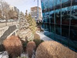 Daylight samples, ultrawide camera (0.6x), 50MP - 16mm, f/2.0, ISO 50, 1/497s (8192x6144px) - Oppo Reno15 Pro (mini) review