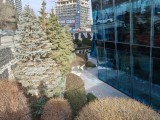 Daylight samples, main camera (1x) - 24mm, f/1.8, ISO 50, 1/120s (4096x3072px) - Oppo Reno15 Pro (mini) review
