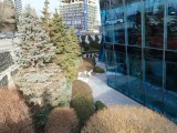 Daylight samples, main camera (1x), 200MP - 24mm, f/1.8, ISO 50, 1/120s (16384x12288px) - Oppo Reno15 Pro (mini) review