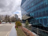 Daylight samples, main camera (1x) - 24mm, f/1.6, ISO 50, 1/1553s (4096x3072px) - Poco M8 Pro review