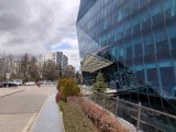 Daylight samples, main camera (1x), 50MP - 24mm, f/1.6, ISO 50, 1/1261s (8192x6144px) - Poco M8 Pro review