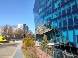 Daylight samples, main camera (1x) - 29mm, f/1.8, ISO 52, 1/847s (4096x3072px) - Poco M8 review