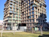 Daylight samples, main camera (1x), 50MP - 29mm, f/1.8, ISO 52, 1/1089s (8192x6144px) - Poco M8 review