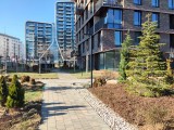 Daylight samples, main camera (1x), 50MP - 29mm, f/1.8, ISO 52, 1/594s (8192x6144px) - Poco M8 review