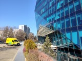 Daylight samples, main camera (1x), 50MP - 29mm, f/1.8, ISO 52, 1/968s (8192x6144px) - Poco M8 review