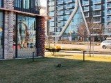 Daylight samples, main camera (2x) - 58mm, f/1.8, ISO 52, 1/315s (4096x3072px) - Poco M8 review