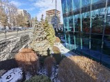 Daylight samples, ultrawide camera (0.6x) - 15mm, f/2.2, ISO 50, 1/522s (3264x2448px) - Realme 16 Pro+ review