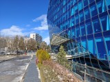 Daylight samples, main camera (1x), 50MP - 23mm, f/1.8, ISO 80, 1/766s (8192x6144px) - Realme 16 Pro+ review